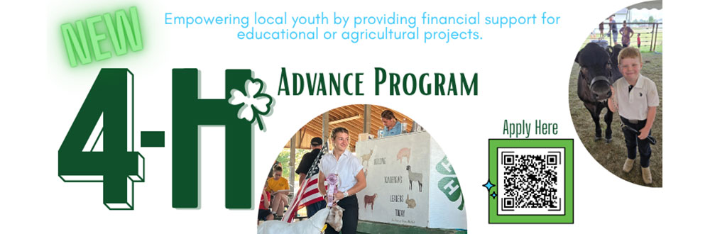Empowering local youth by providing financial support for educational or agricultural projects